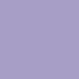 Crocus violet
